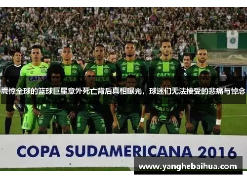 震惊全球的篮球巨星意外死亡背后真相曝光，球迷们无法接受的悲痛与悼念