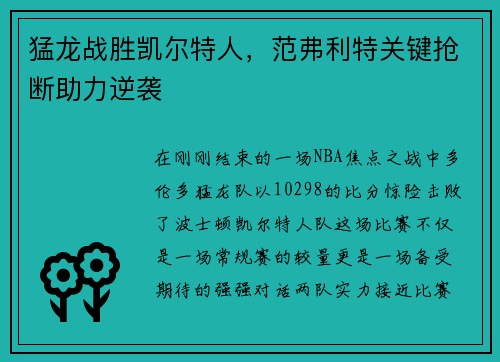 猛龙战胜凯尔特人，范弗利特关键抢断助力逆袭